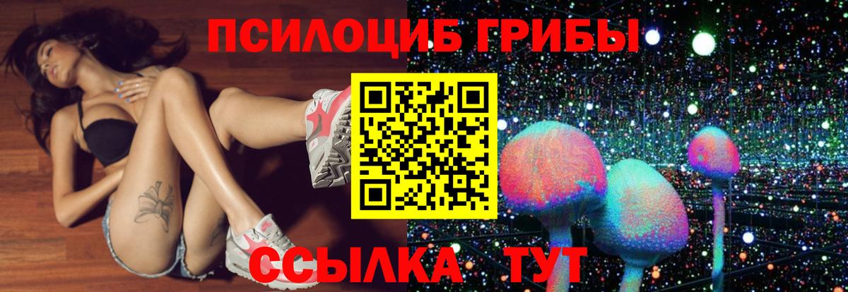 Галлюциногенные грибы Cubensis Искитим